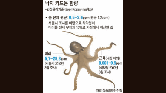 “낙지, 매주 2~3마리는 먹어도 해롭지않다”