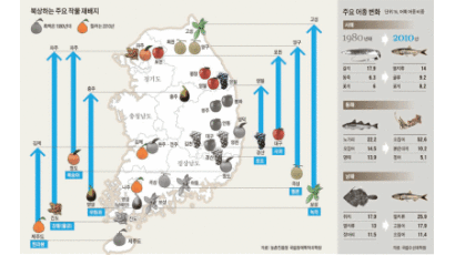 최북단서 녹차 재배, 멸치 동해 북상 … 흐려진 특산물 경계