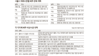지자체, 배추 심기 지원 … 서울, 싸게 파는 시장 늘려