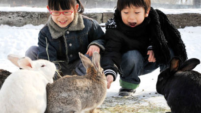 [사진] “반갑다, 토끼야”