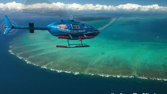 무지개 빛깔 산호군락으로 떠나는 신혼여행, 호주 케언즈 허니문