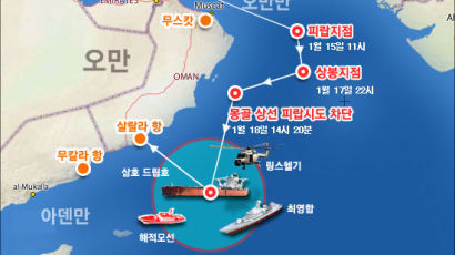 [그래픽] 청해부대 소말리아 해적 소탕 작전 그래픽