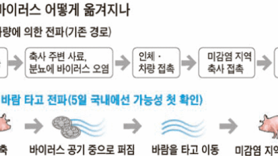 축산과학원 ‘철통방역’ 공기 통해 뚫렸나