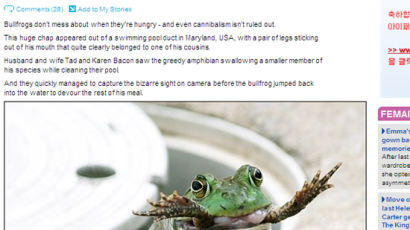 [사진] 개구리 잡아먹는 개구리 '끔찍'