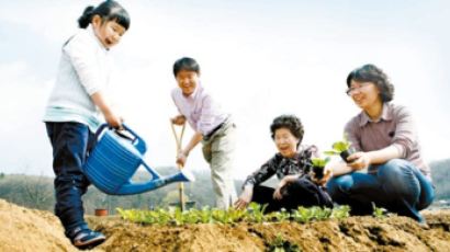 텃밭 가꿔보고 싶다면 우리 동네 주말농장