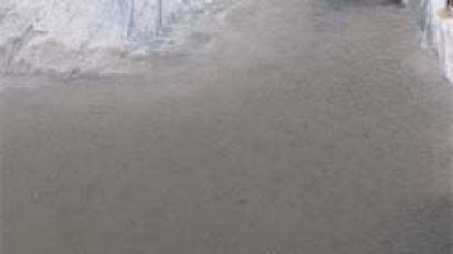 구제역 매몰지 ‘빗물 웅덩이’ 어쩌나