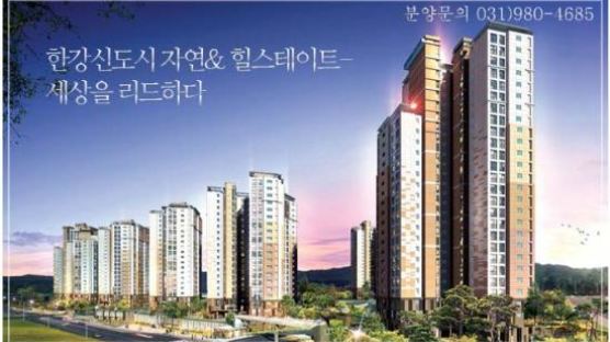 '김포 한강신도시' 2011년 유망 아파트분양단지 1위! 전문가들 투자가치 매우 높다