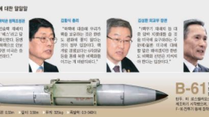 청와대, 전술핵 신중 … 국방·외교 당국자 “북·중 압박 효과”