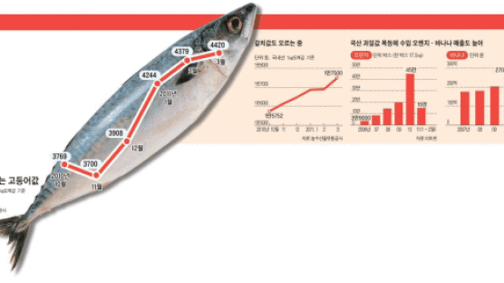 수입 생선·삼겹살 값도 심상찮다