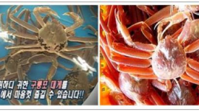 [2011 안전한 식탁] 특화된 맛의 거리! 기대되는 ‘포항구룡포 대게타운’