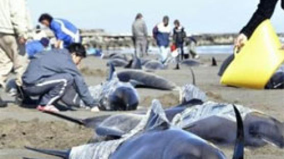 일본 최악의 강진, 바다 생물은 알고 있었다?!