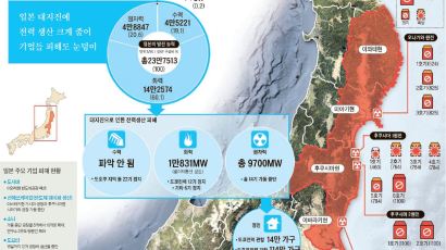 [동일본 대지진] 전력난에 공장 멈춘 일본 … 국내선 중기 수출입 피해신고 벌써 70건