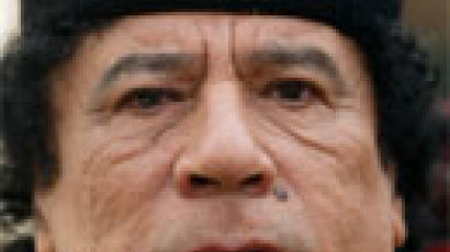 “카다피 사퇴 땐 망명 보장”