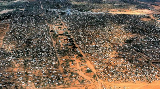 [Wide Shot] 세계 최대 케냐 난민캠프
