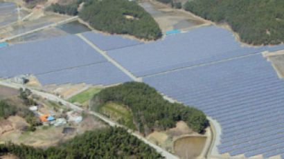 [사진] 인삼밭 닮은 태양광발전소