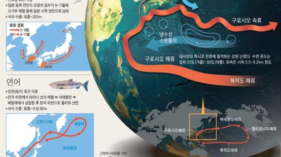 [수요지식·과학] 후쿠시마 바닷물, 한국 오는 데 5년