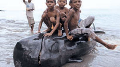 고래 사냥으로 살아가는 사람들