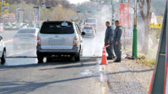 ‘종식 선언’ 24일 만에 … 영천에서 또 돼지 구제역