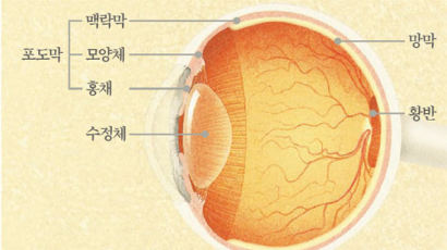 당뇨·흡연, 당신의 시력을 노린다