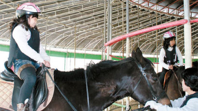 음봉초등학교 승마교실…말 타고 달리는 아이들 담력·도전정신 기른다