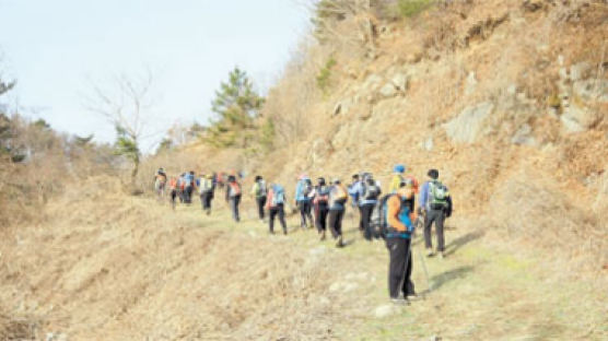 산악회 탐방 ⑮ 천안토요산악회 백두대간 영동~김천 산행기