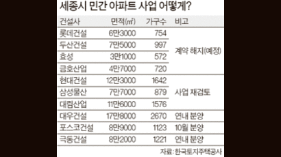 LH, 세종시 사업포기 건설사 4곳과 계약 해지