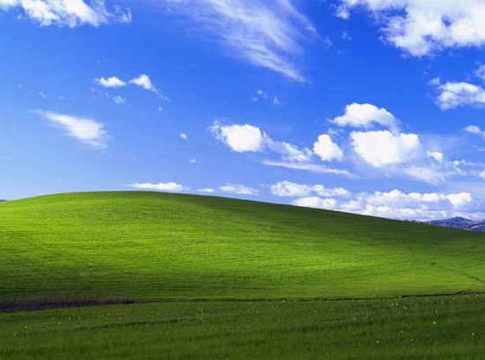 윈도우 XP 기본 바탕화면의 10년 후 ‘이럴 수가’ | 중앙일보