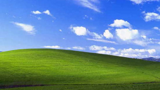 윈도우 XP 기본 바탕화면의 10년 후 ‘이럴 수가’