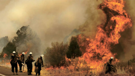 [사진] 애리조나 산불 2주째 … 주민 1만여 명 대피