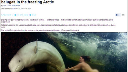[사진] 북극 바닷속, 나체의 여성 해양생물학자와 돌고래의 환상적인 유영 