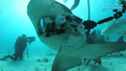 [동영상]카메라에 먹이 달고 상어 이빨 찍는 '간 큰 남자'