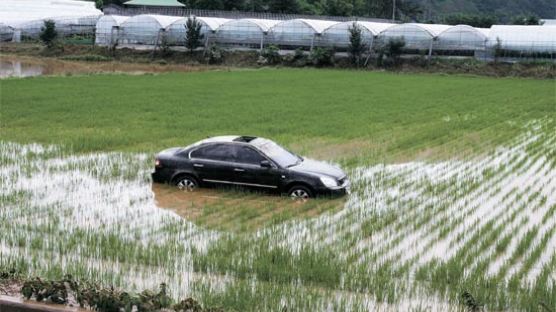 [사진] 폭우가 옮겨놓은 자동차