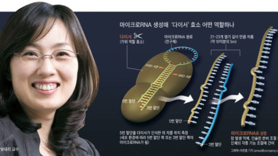 김빛내리 ‘유전질환 치료’ RNA 비밀 풀었다
