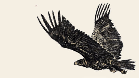 [BOOK] 뻣뻣한 진보 딱딱한 보수여, 새는 몸통과 양 날개로 나는 것을 …