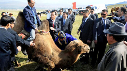 [사진] 몽골서 낙타 타는 이 대통령 