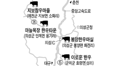 [가볼 만한 명품 한우 산지] 경북 군위·의성·예천