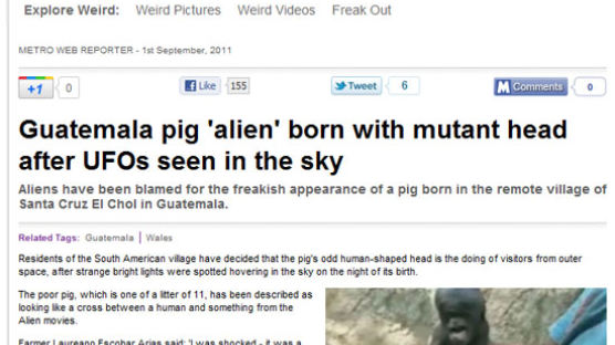 [사진] UFO 목격 후 외계인 닮은 돼지 태어나