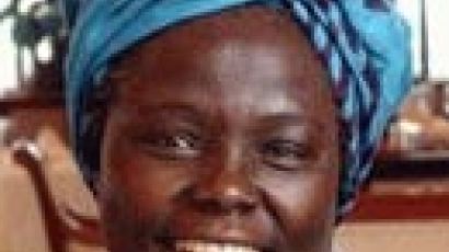 [부고] ‘그린벨트 운동’창설 … 아프리카 여성 첫 노벨평화상 마타이