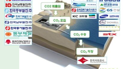 한국發 지구촌 新성장동력 … ‘탄소 먹는 하마’ 본격 채비