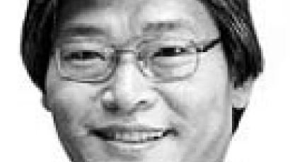 [배명복의 세상읽기] 외나무 다리에 선 한국 외교