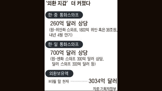 [뉴스분석] 일본과 통화스와프 700억 달러로 확대