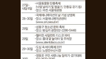 울긋불긋 ‘단풍 풀장’서 헤엄쳐 봐요