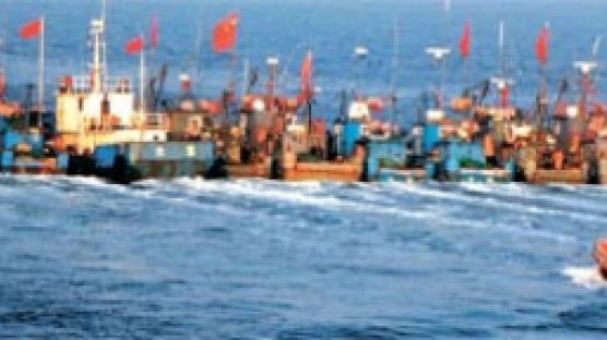 [사진] 불법 조업 중국 어선, 바다 위 인해전술