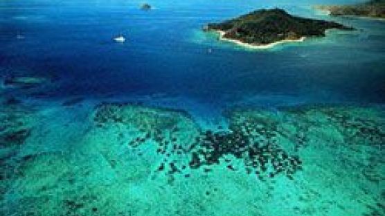 여의도 350배 해저광물 영토 피지 앞바다에서 따냈다