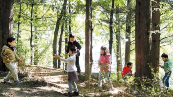 ‘자연 교실’ 다니는 숲유치원 어린이들