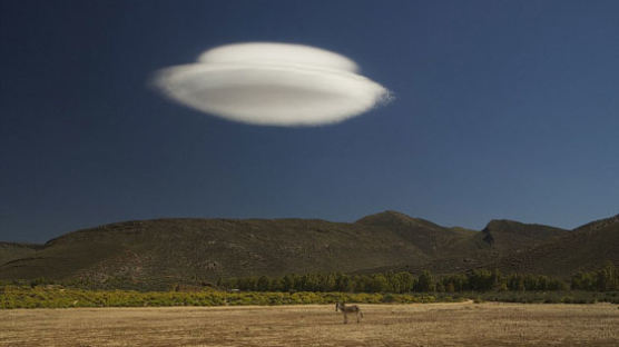 사파리 초원에서 선명히 찍힌 UFO, 자세히 보니…