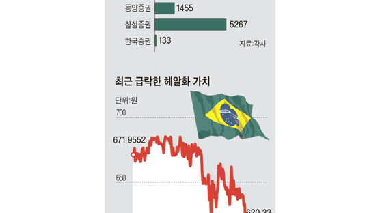 헤알화 예상 밖 급락 … 브라질 국채 인기 ‘주춤’