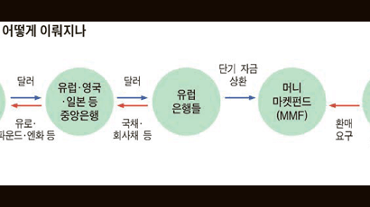 미국-유럽 ‘달러 스와프’ 공조 … 돈가뭄 유럽 은행들에 단비