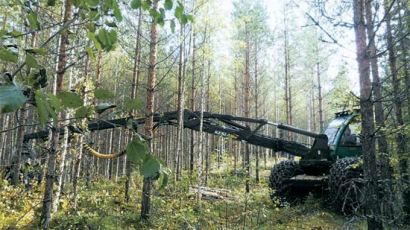 숲은 인류의 미래다 ④ 핀란드 혁신의 비밀, 숲