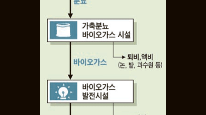 돼지똥 이용해 전등 켜는 증촌마을